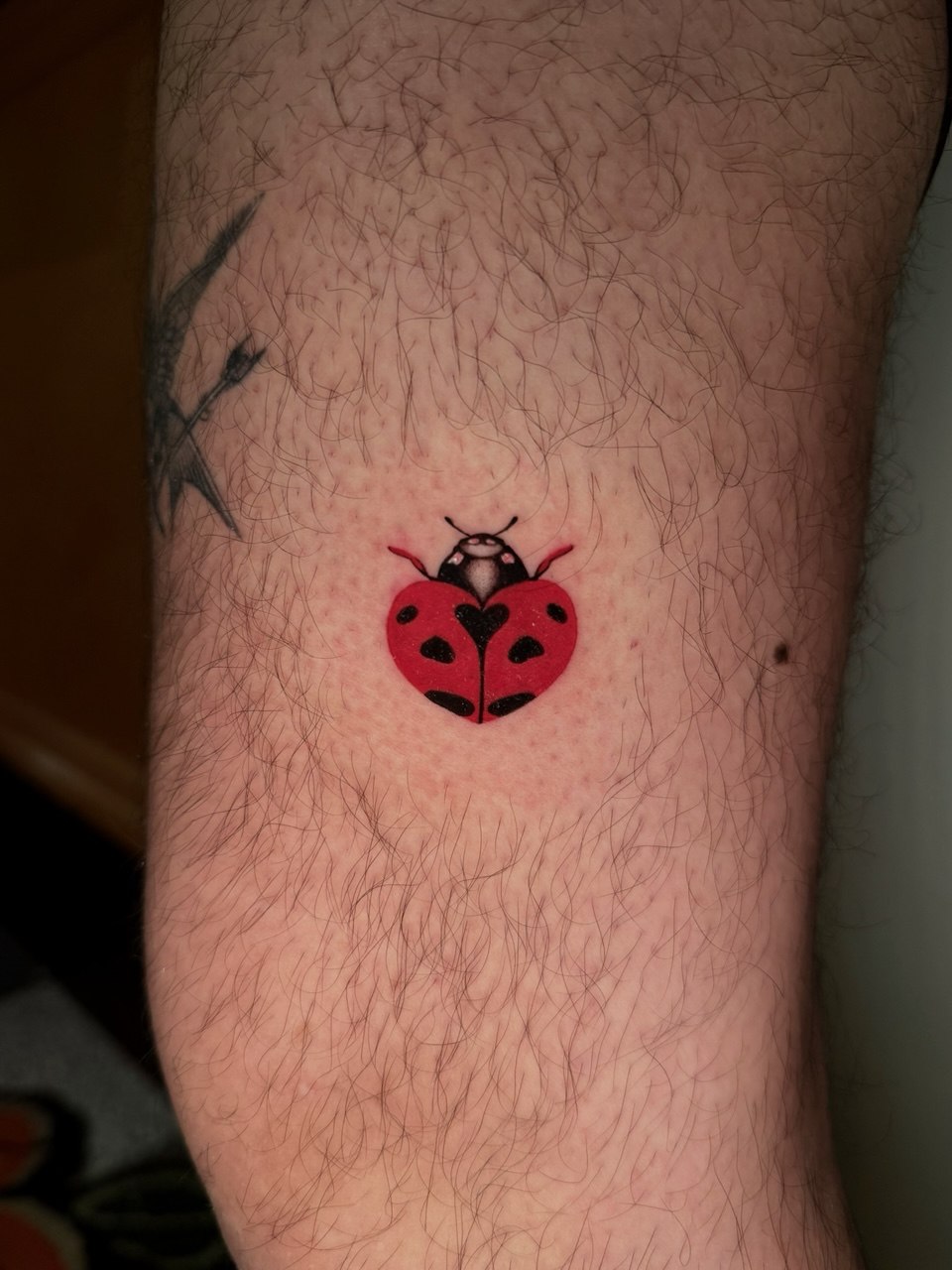 Tattoo work by Ivy at Unscripted Ink NYC — Fine Line · Subtle Detail · Small Scale — portfolio image 8