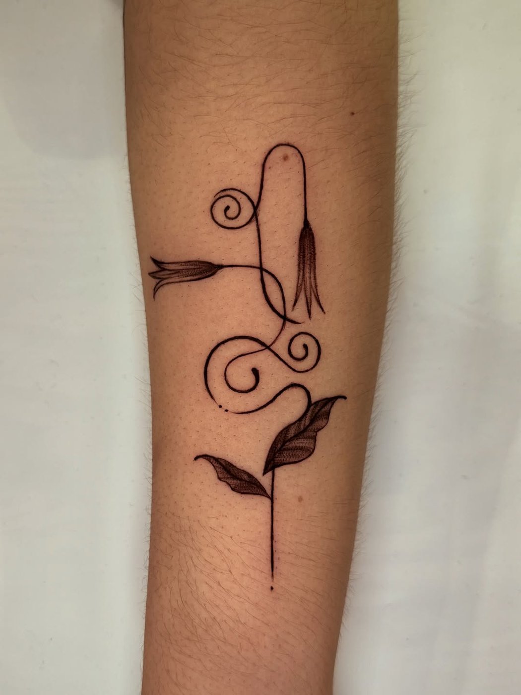 Tattoo work by Ivy at Unscripted Ink NYC — Fine Line · Subtle Detail · Small Scale — portfolio image 5